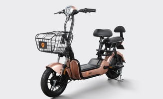 新國標實施在即，愛瑪與雅迪電動車如何選擇？